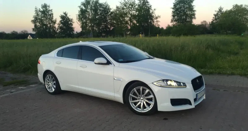 Jaguar XF cena 52000 przebieg: 118226, rok produkcji 2013 z Tychy małe 79